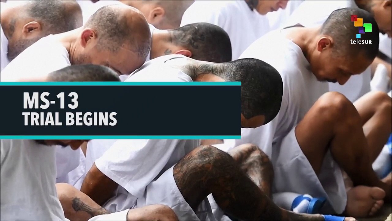 MS-13 Trial Begins