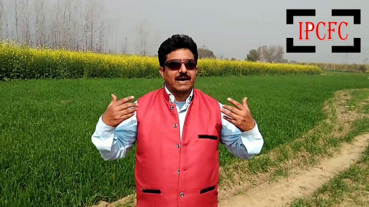 Silverfish control | bedbug control | All Pest Control Service | Pest control in India | Indian Pest Control