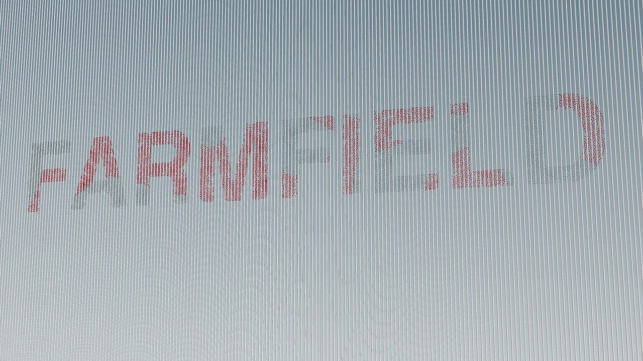 Houdini - Differential curve setup (scene file)