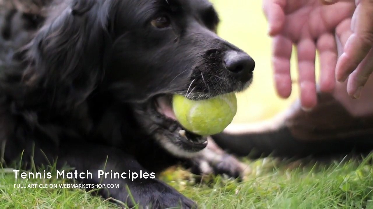 Master the Fundamentals: Essential Principles for Winning Tennis Matches 🎾