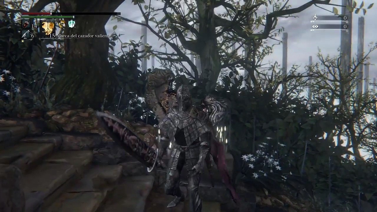 Bloodborne Farmear ecos de sangre [16k] NG[100k] en 2 minutos