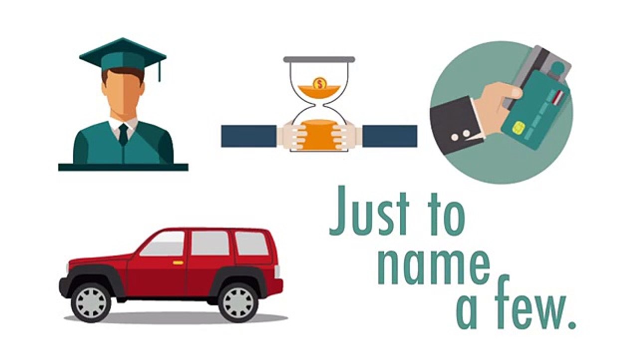 What does Loans mean