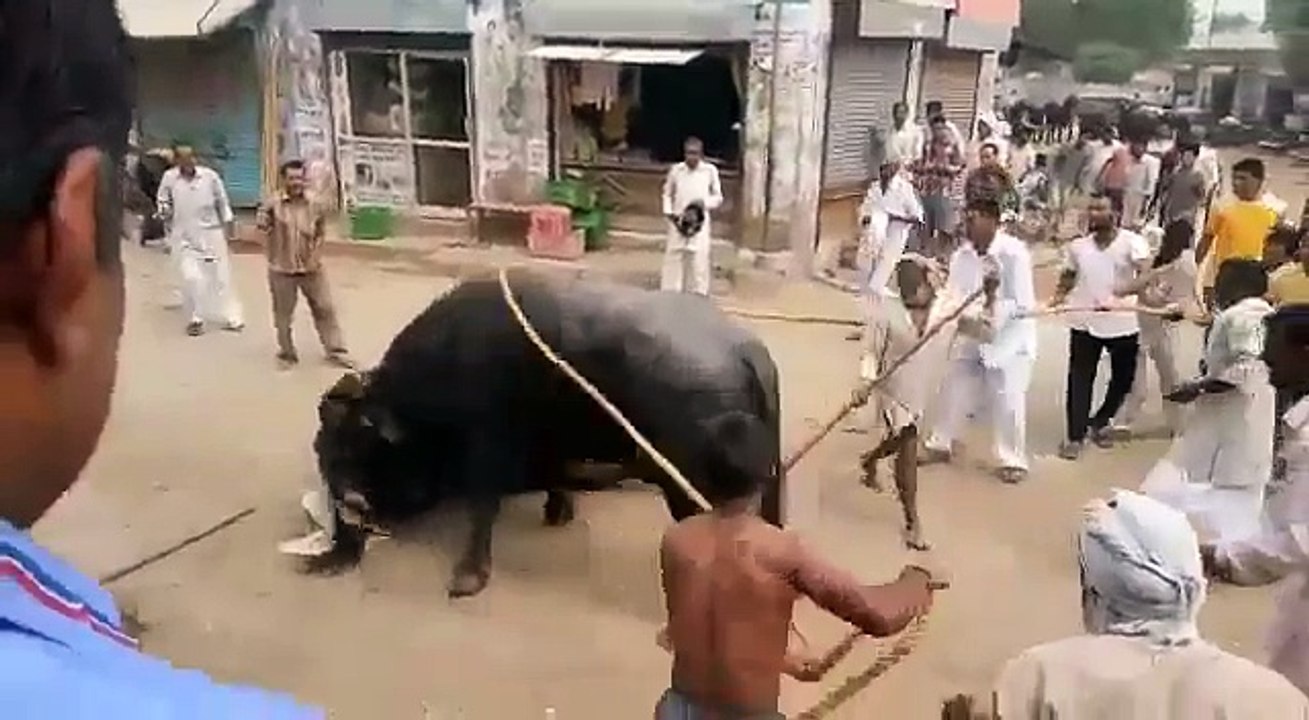 Ghatak Movie Dialogue Funny Video