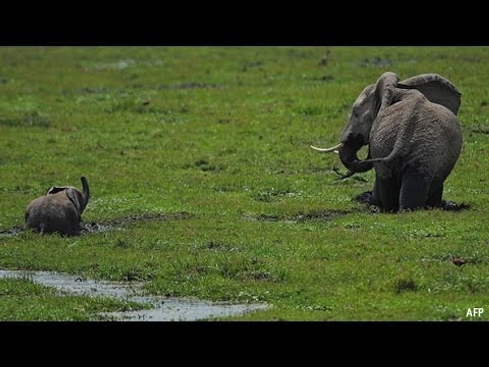 Babbage: March 12th 2014