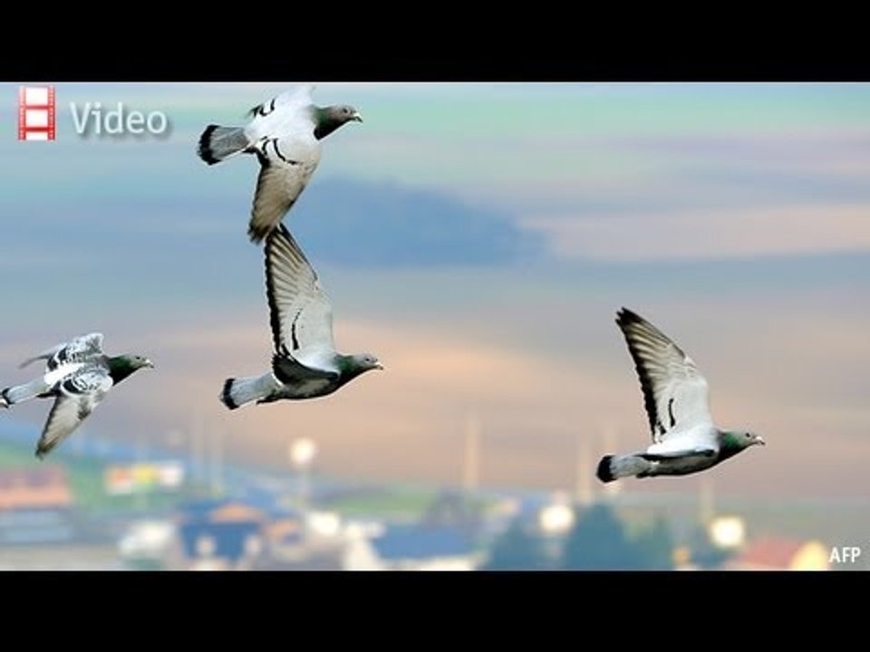 Babbage: July 17th 2013