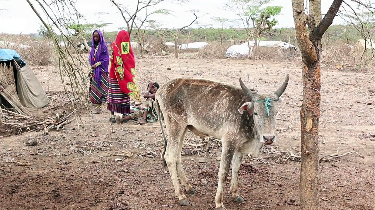 Futuro em dúvida por degradação do solo