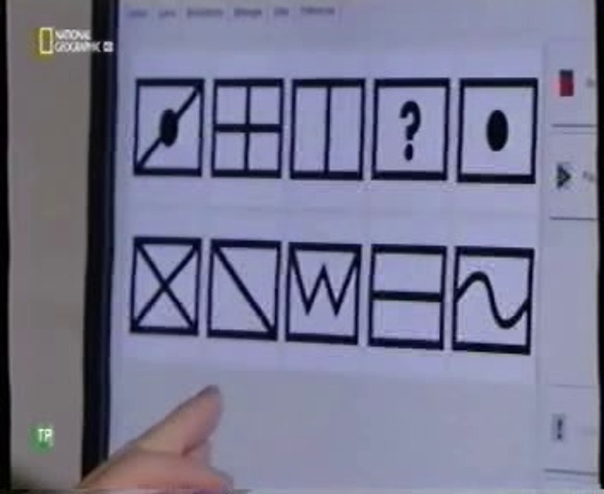 Orangutanes: Aprendiendo el Lenguaje Humano