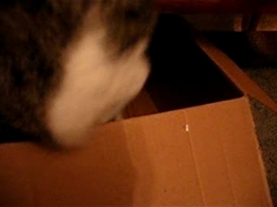 Father and son, and mother sometimes