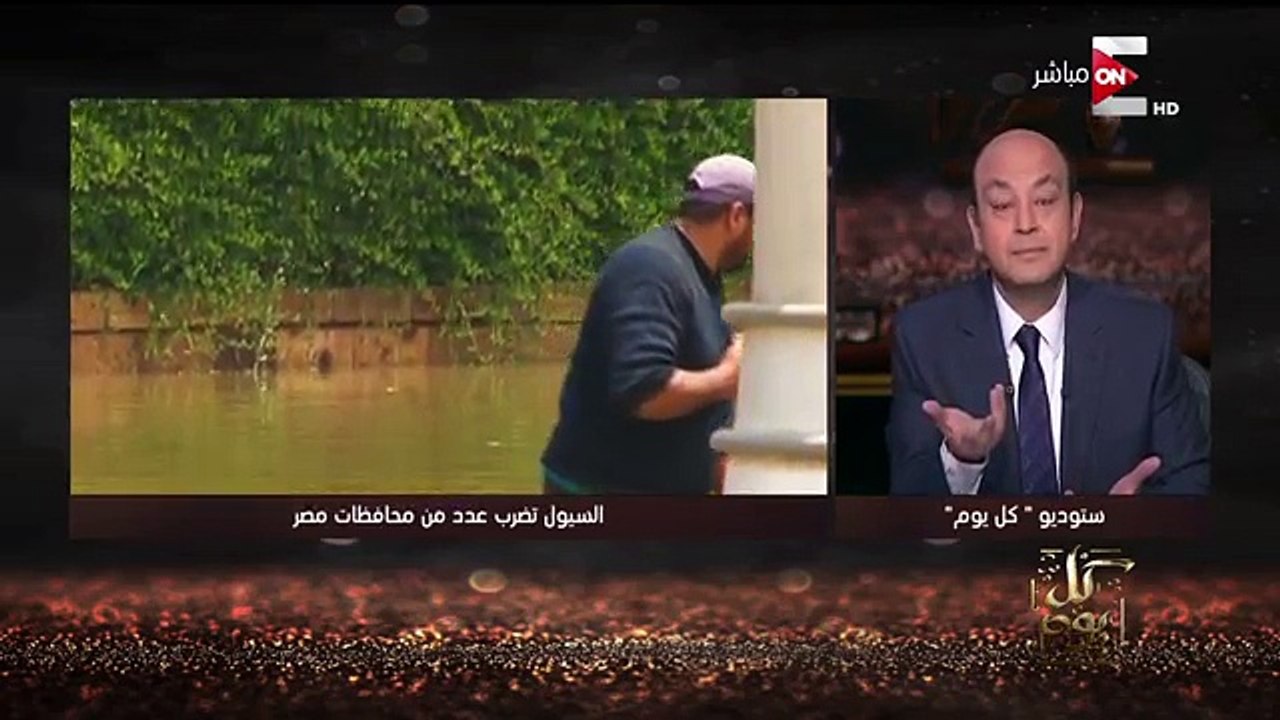 Amr Adib's Parliamentary Insights 🏛️