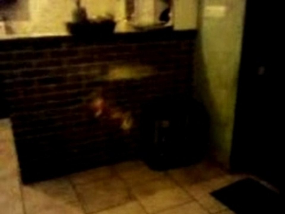 Helico bmi swiss lama