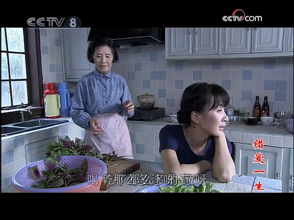 电视剧 错爱一生 04