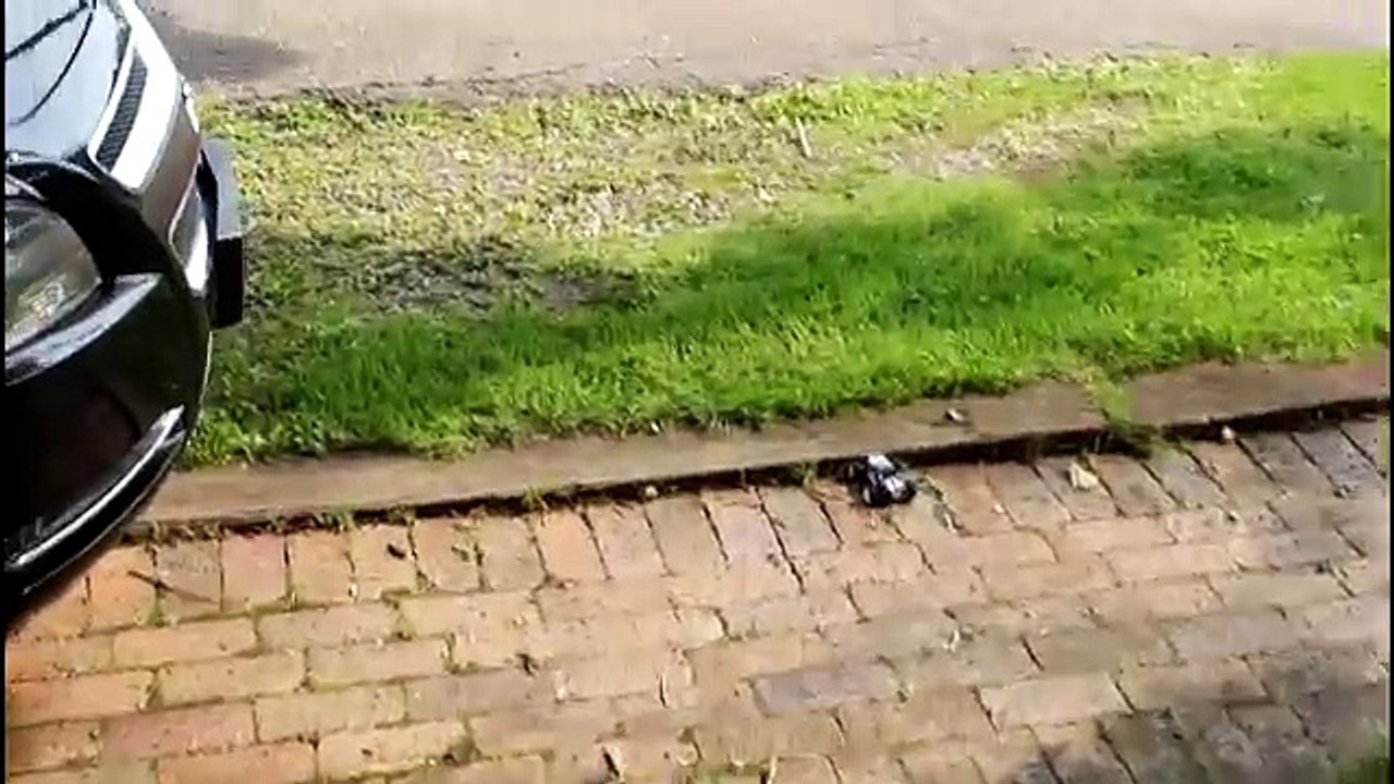 Horizon Hobby BeatBox & KickFlip Review - TheRcSaylors