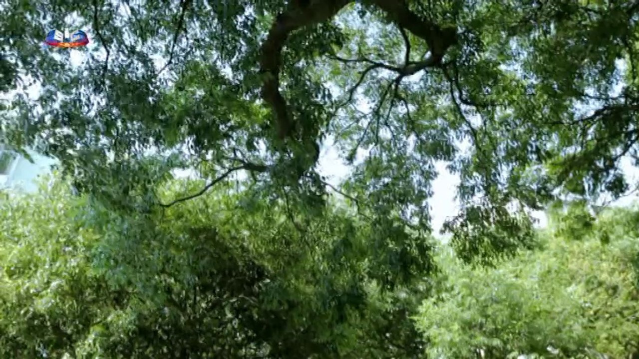 Carinhas no "E Agora O Que É Que Eu Faço?