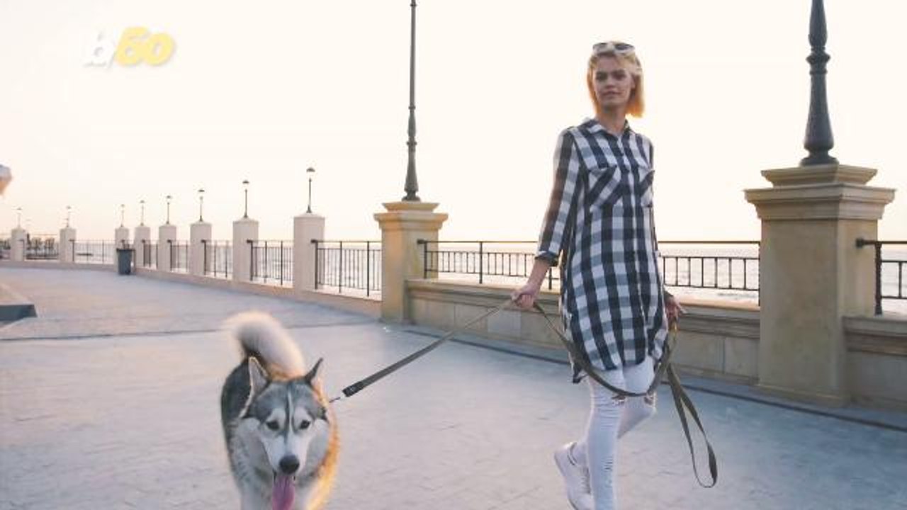 Here's How Often You Should Walk Your Dog