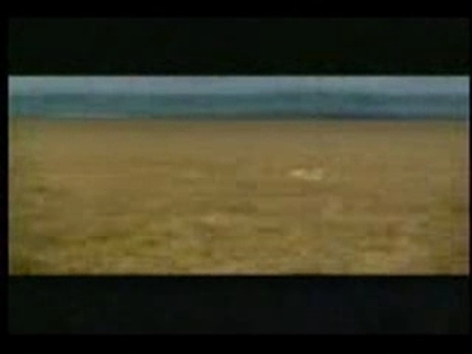 Unbelievable Antelope Moment 🦌