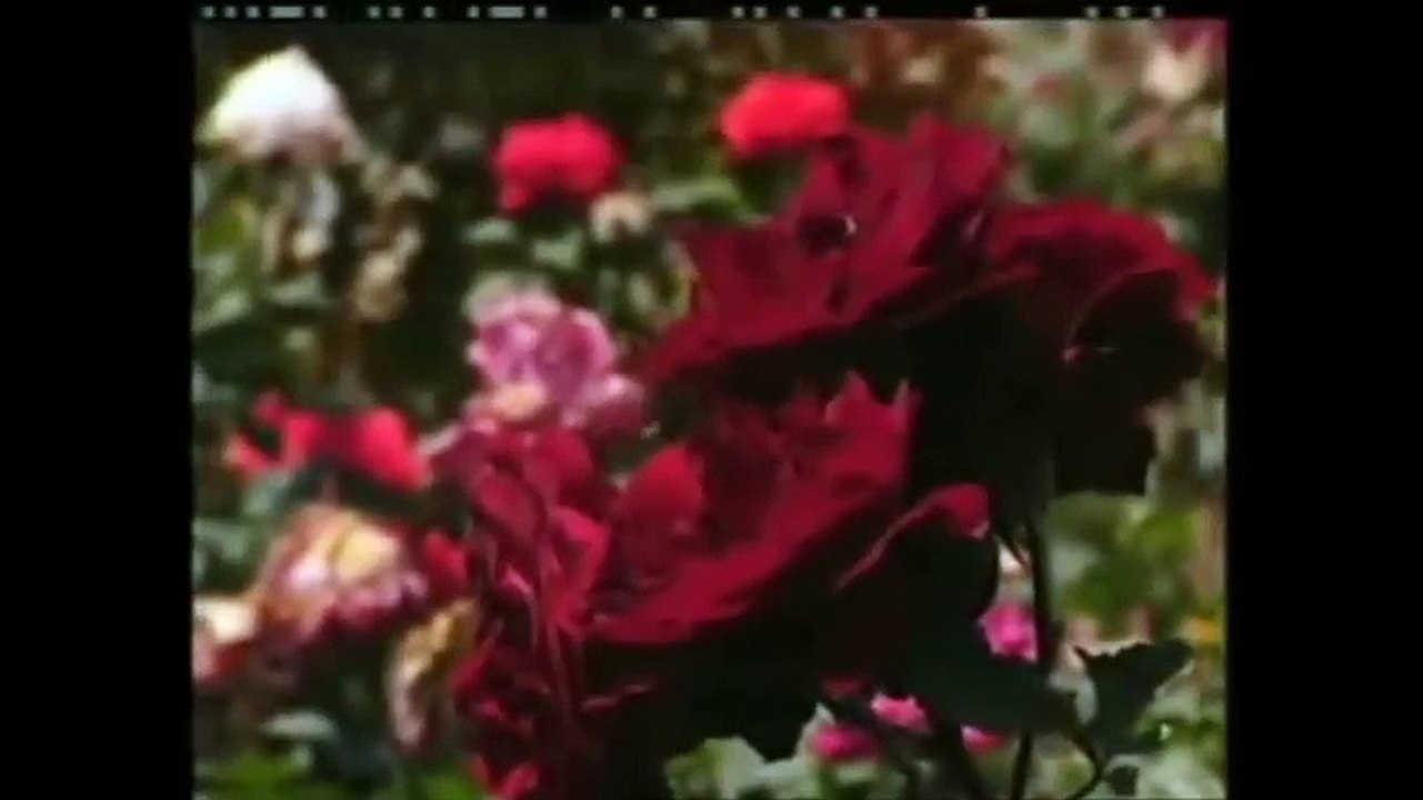 SYEIKH ABDUL QADIR JAILANI Episode 2 Subtitle Indonesia Melayu