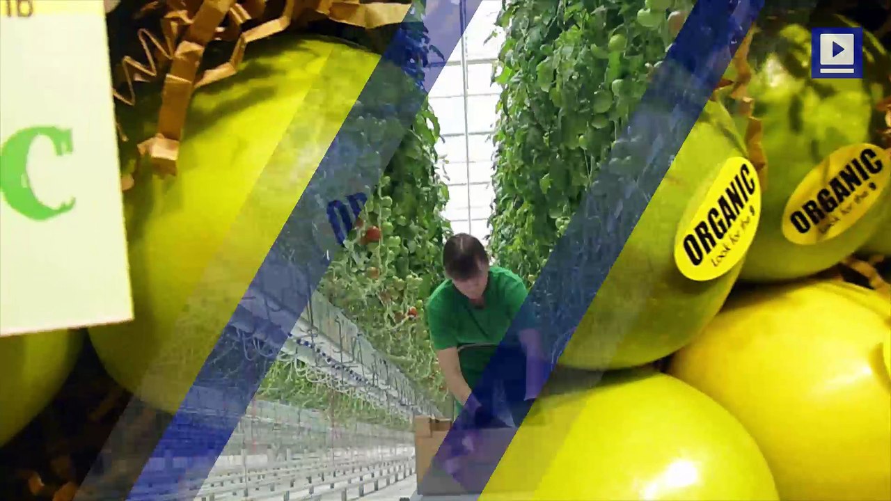 What Does The 'Organic' Label Really Mean?