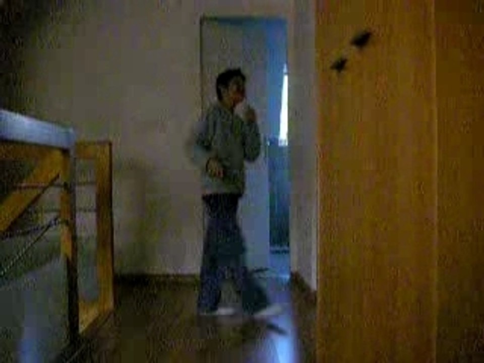 Whitestar & Bluestar Tecktonik Forever 🎶