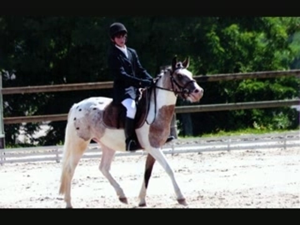 Love for San Diego ❤️