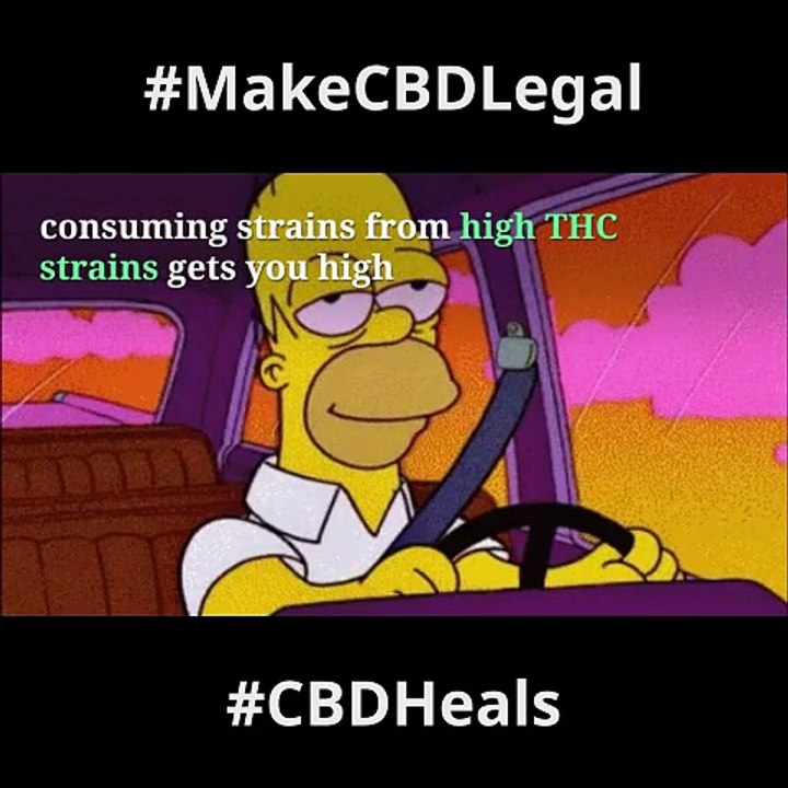 What Are the Benefits of CBD?