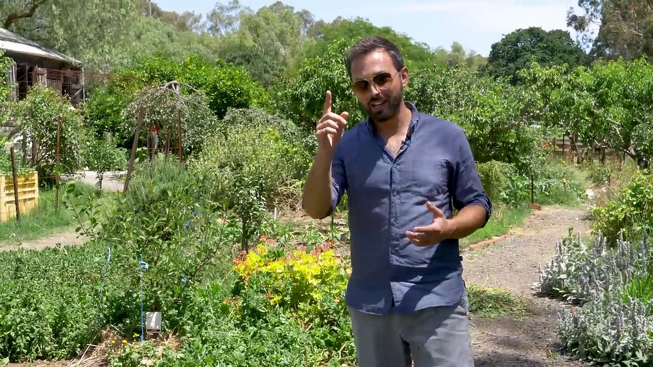 Is Our Food Becoming Less Nutritious?