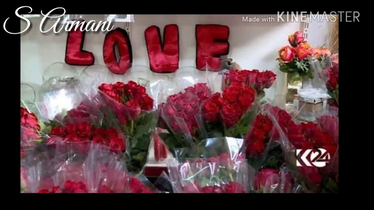 Most romantic letter N & P whatsapp status lovely letters P&N Tu nazm nazm sa