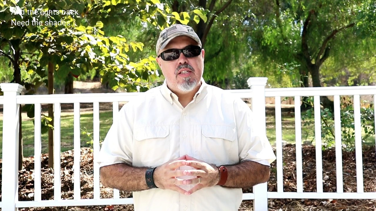 Introduction - Modern Renaissance Man