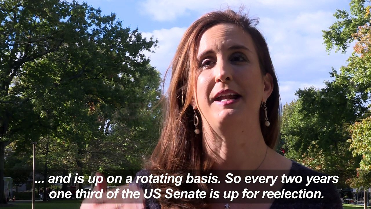 US Midterms 101: Going back to basics