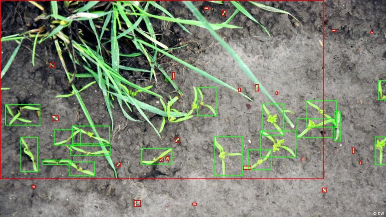 روبوتات الحقل - برمجيات للمزارعين