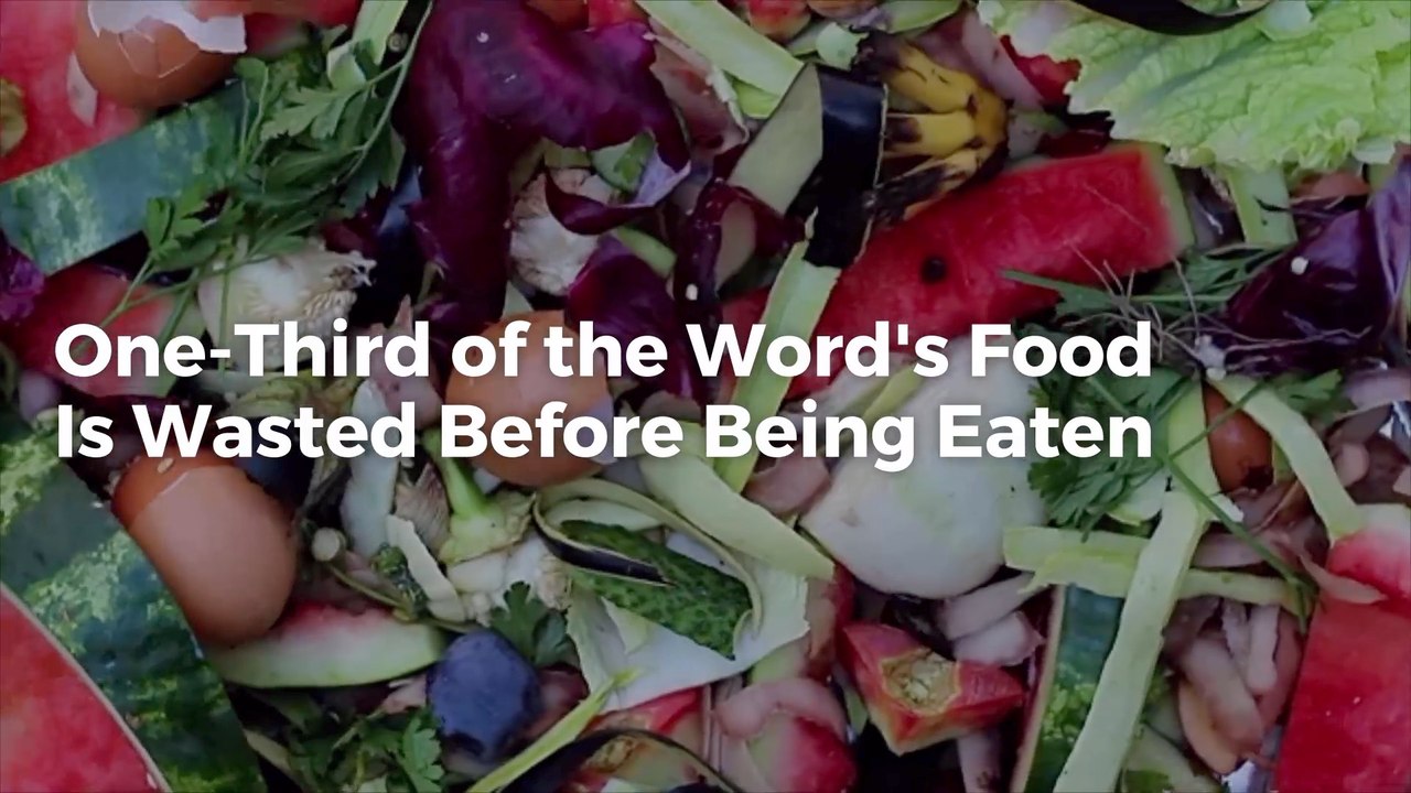 How Much Food In The World Is Wasted: Watch