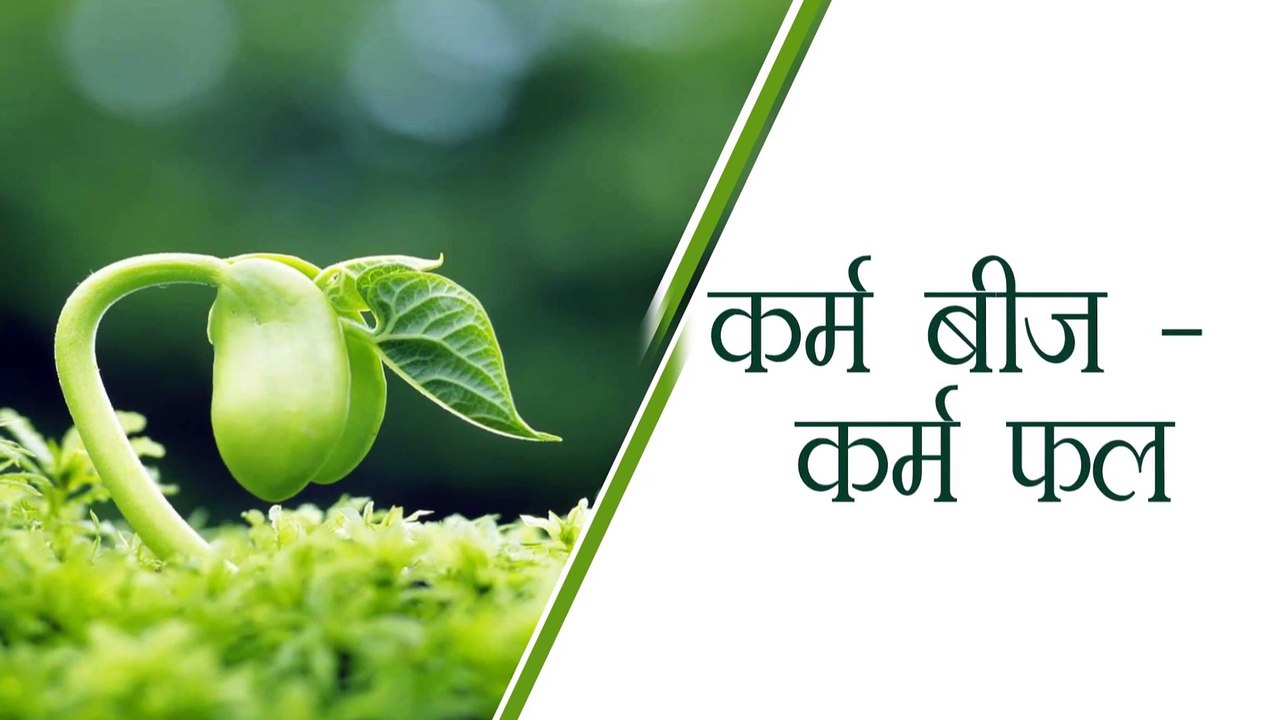 Karma Bij - Karma Phal