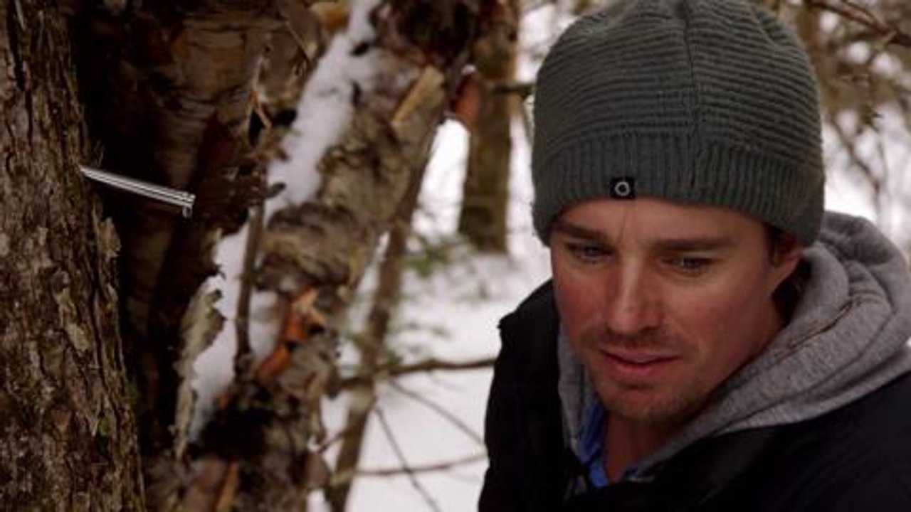 How to make maple syrup from scratch