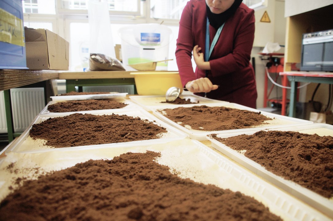 Coffee Cups Made From Coffee