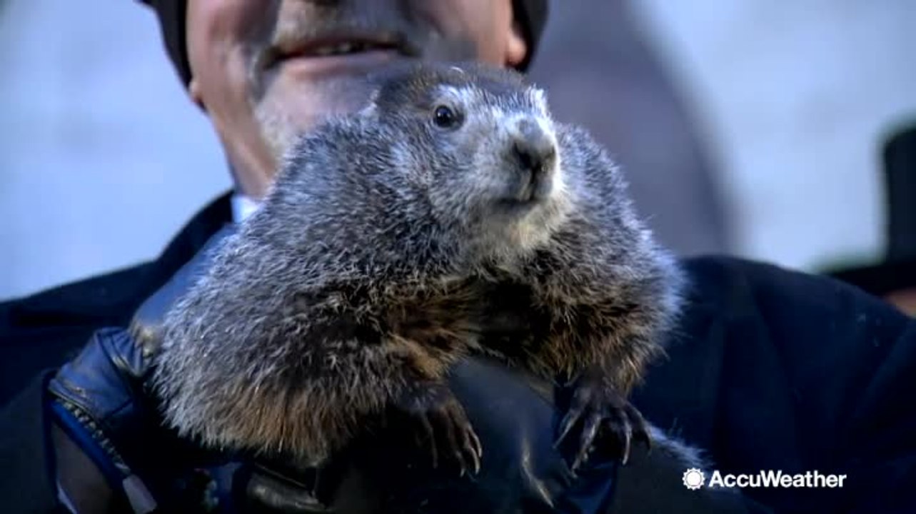 The history and origins of Groundhog Day