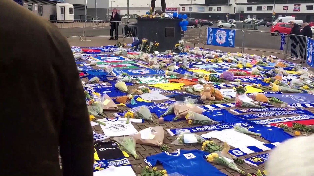 Cardiff City Beat Bournemouth!