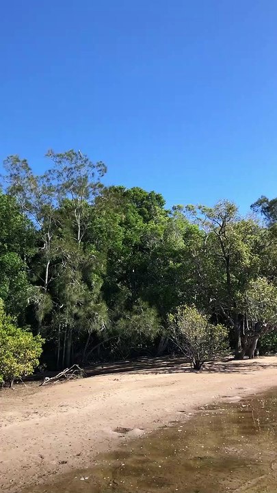 Catch and Release and Catch Again