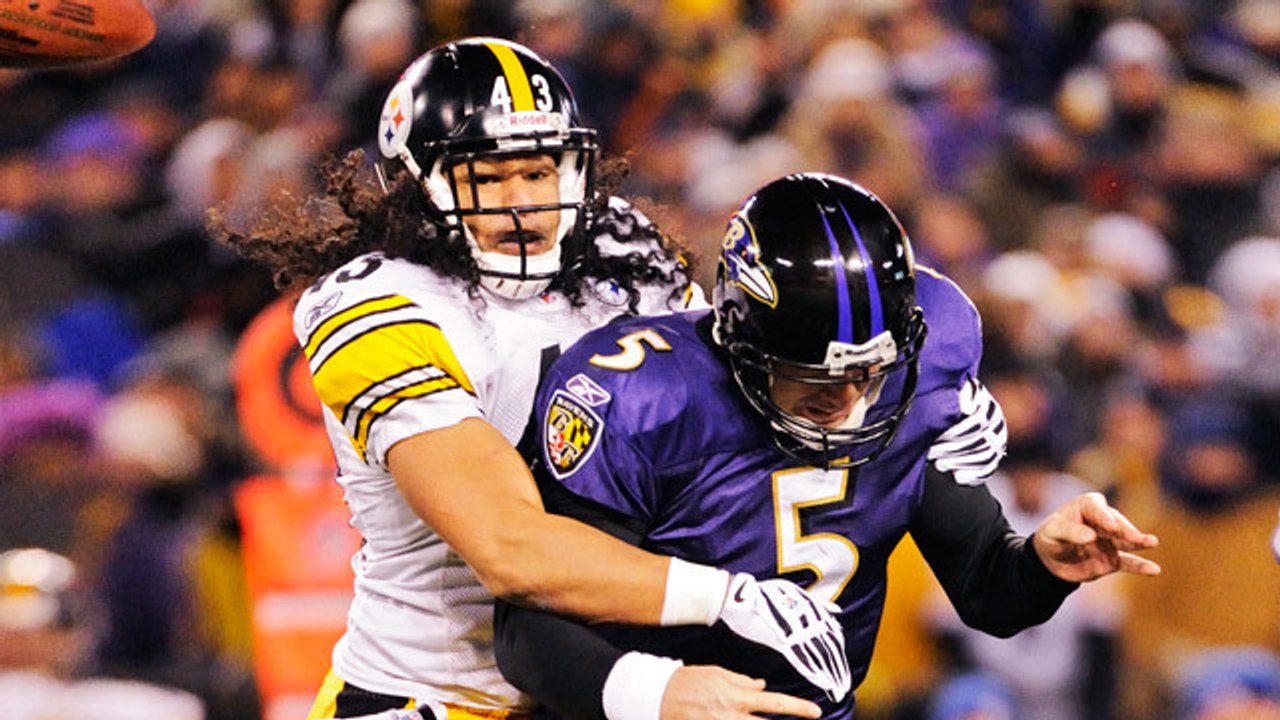 Troy Polamalu's Top 5 plays