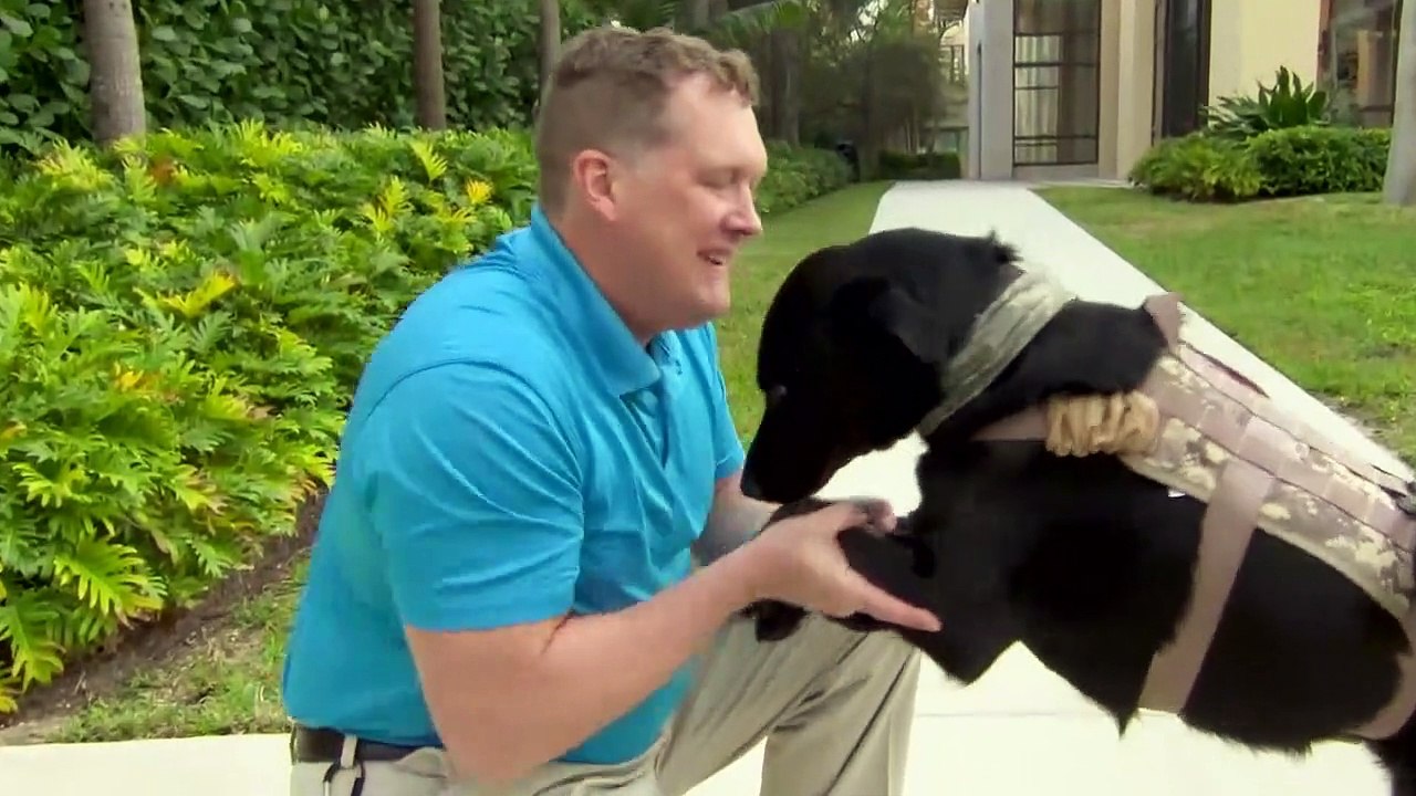 This Program Turns Shelter Dogs Into Service Dogs For Veterans In Need