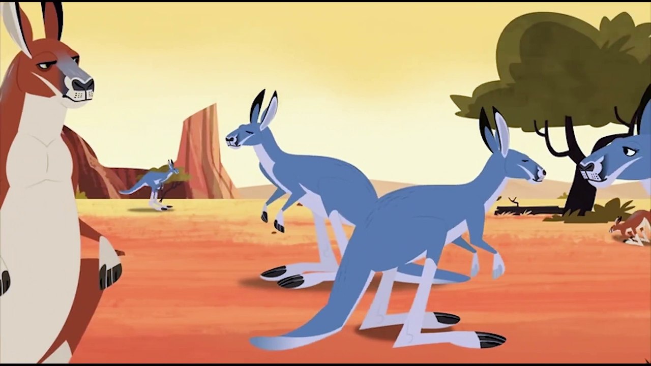 Wild Kratts  Kangaroos and Koalas  Kids Videos