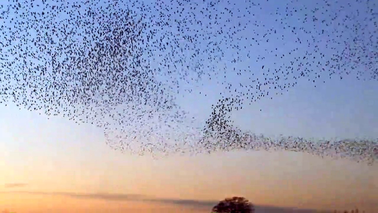 Channel Trailer | DW Documentary