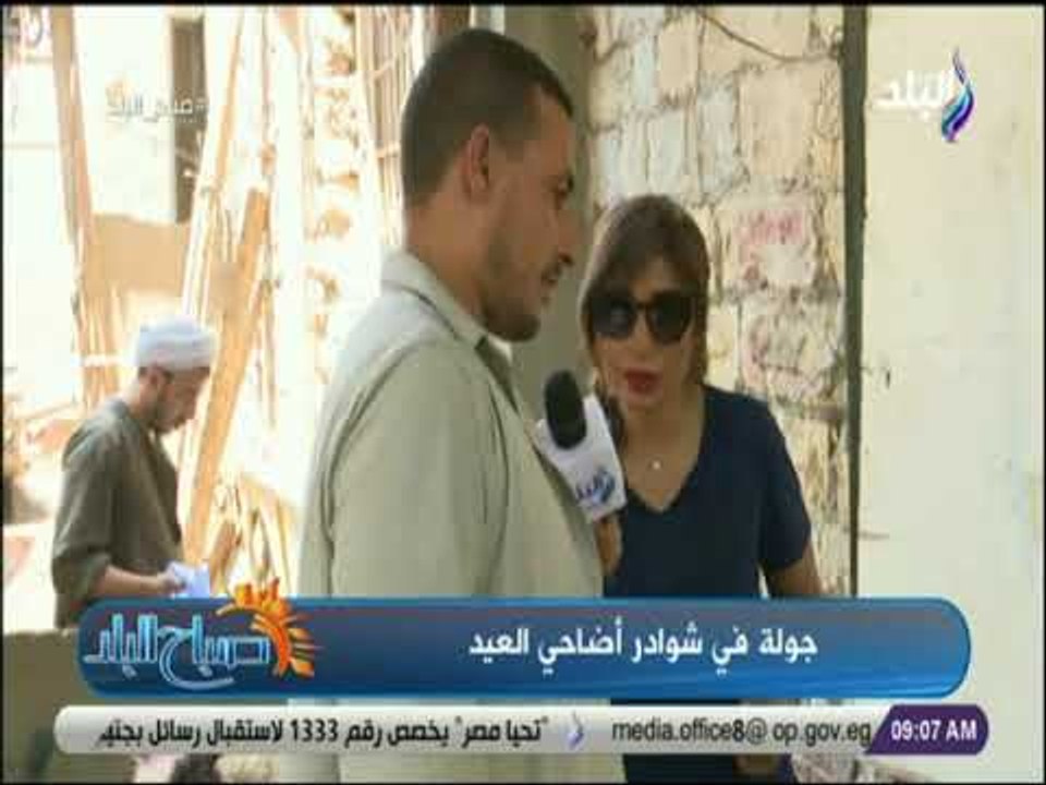 اعرف إزاي تشتري خروف العيد المناسب مع صباح البلد