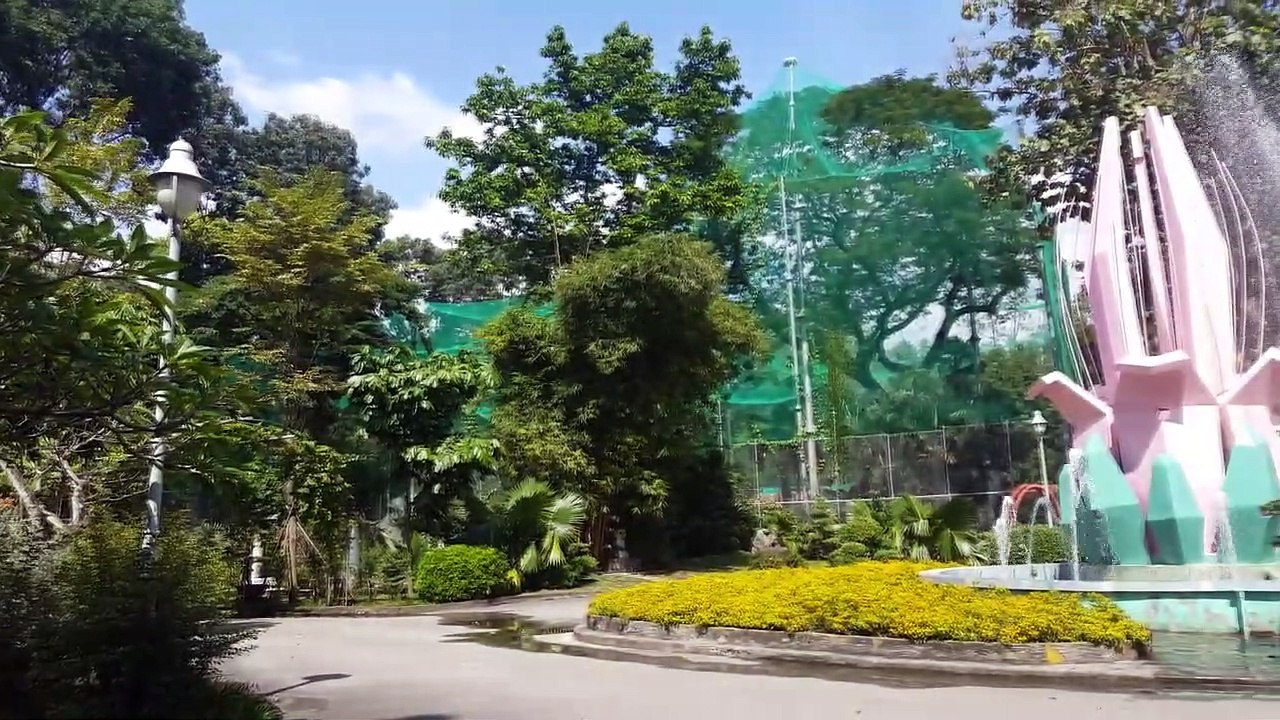 4k Video 4k Video Test of 4K Ultra HD Resolution Video Bossa Nova Jazz 4K Video Nature