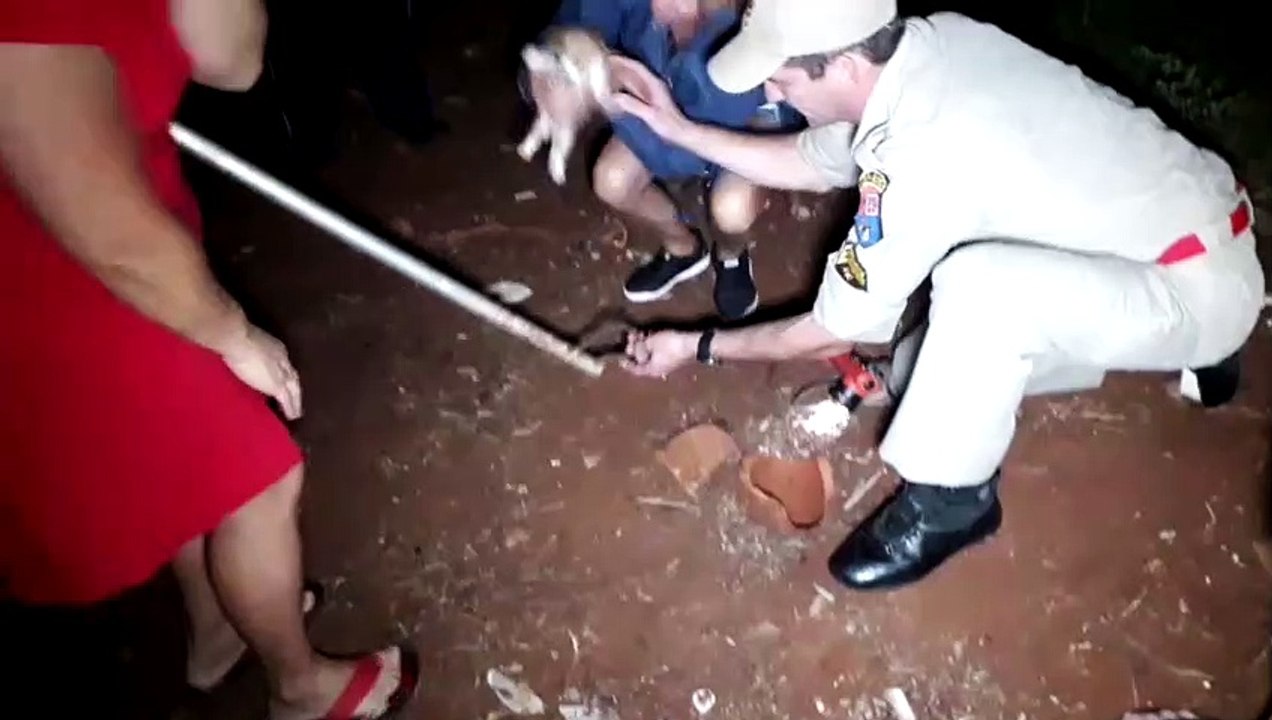 Bombeiros resgatam filhote de cachorro que caiu em buraco