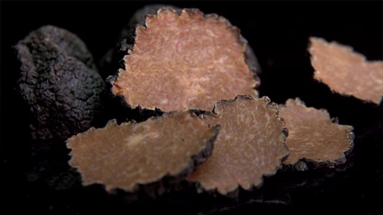 What Are Truffles?