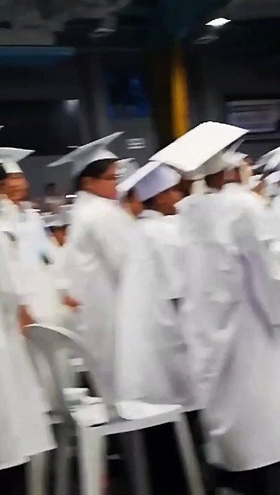 Cat sneaks into graduation ceremony only to go to the toilet in front of everybody