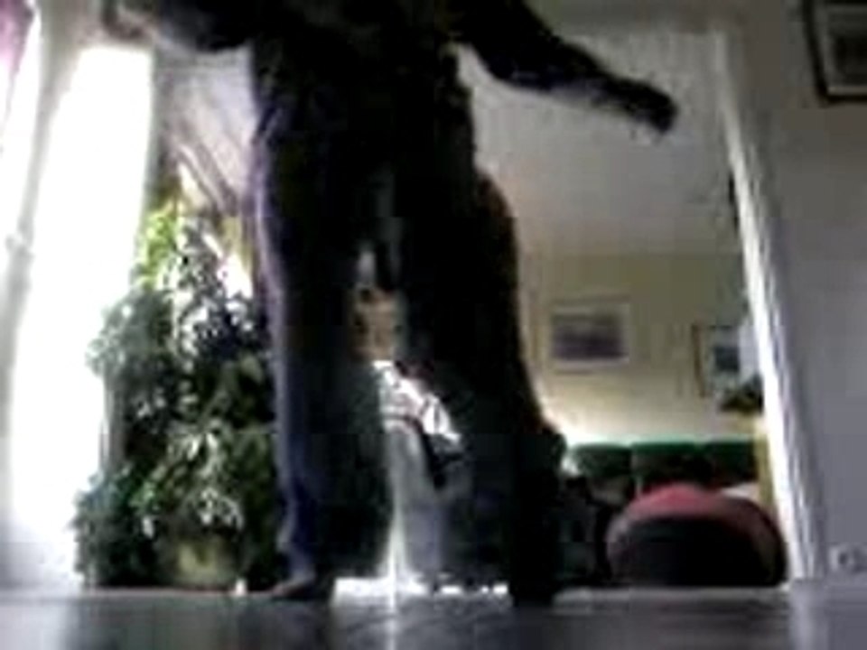 Dancehall PAS: The Ultimate Guide