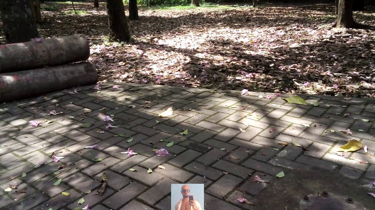 100 Push-ups for chest and triceps growth.