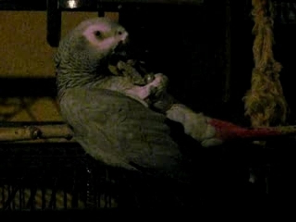 2007 Historical Data from 2007-2008 📊