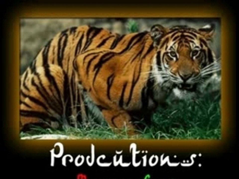 Moroccan Cars Overview 🚗