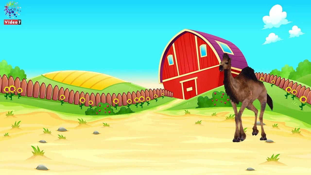 فيديو معلوماتى.. نصائح الزراعة قبل شراء خروف العيد